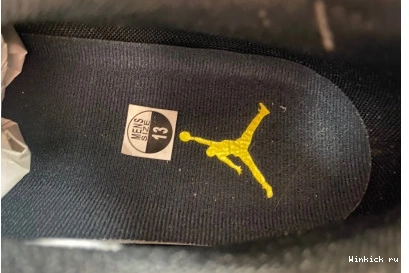 Jordan 17 Low “Lightning” Air 0829